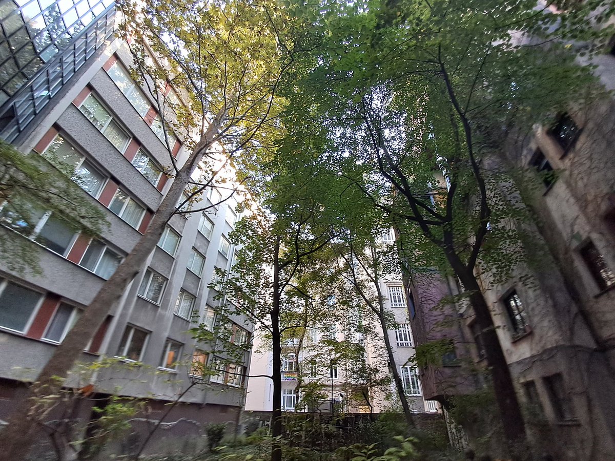 Irene Peiró Compains tweet media