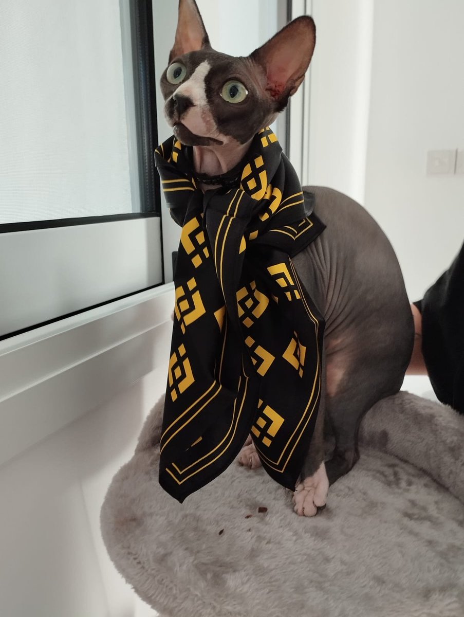 Ownin' the scene, repping #binance like a boss.