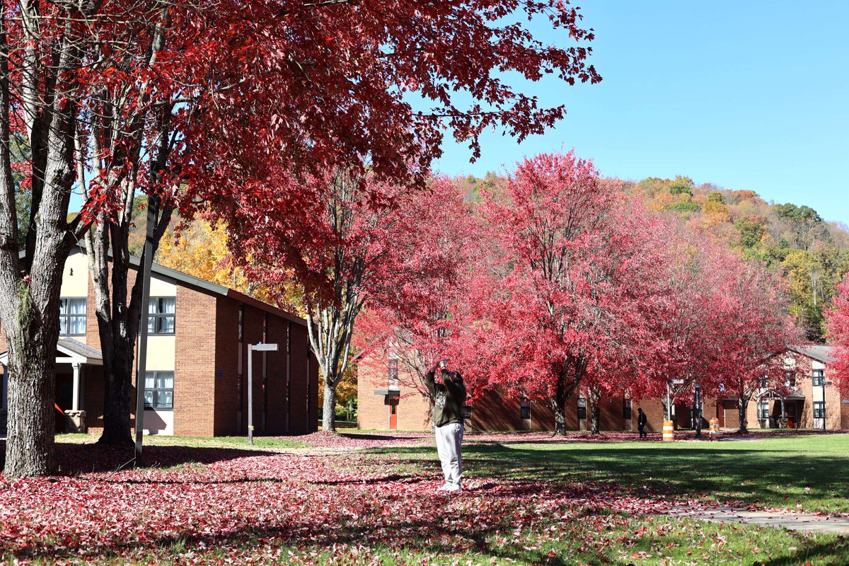Capturing the vibrant colors of the changing leaves before the winter wind blows them away. 🌬️🍂  #RedMaple #StudentPerspectives