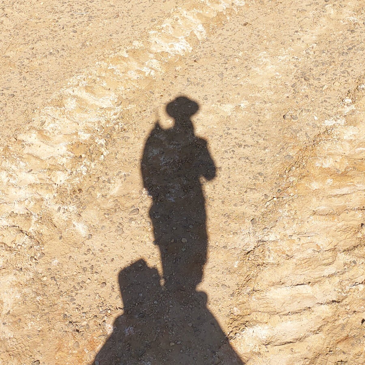 galal19298's tweet photo. #صورة_ملف_شخصي_جديدة♥️♥️✌️ https://t.co/c9Xc3yLNwO
