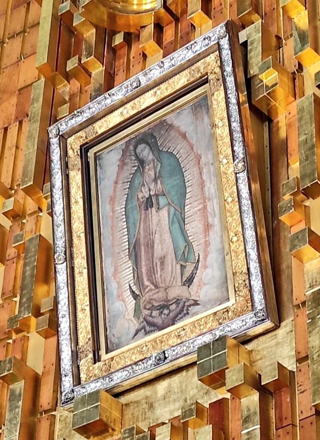 FE y más FE tweet media