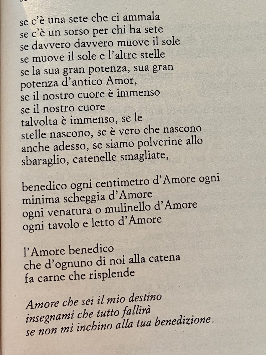 Profferrari's tweet photo. M. Gualtieri https://t.co/MfqnzKMYR2