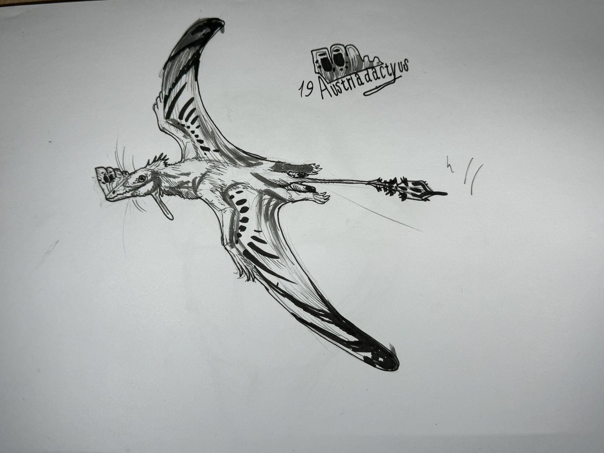 Mr.LeCroc tweet media