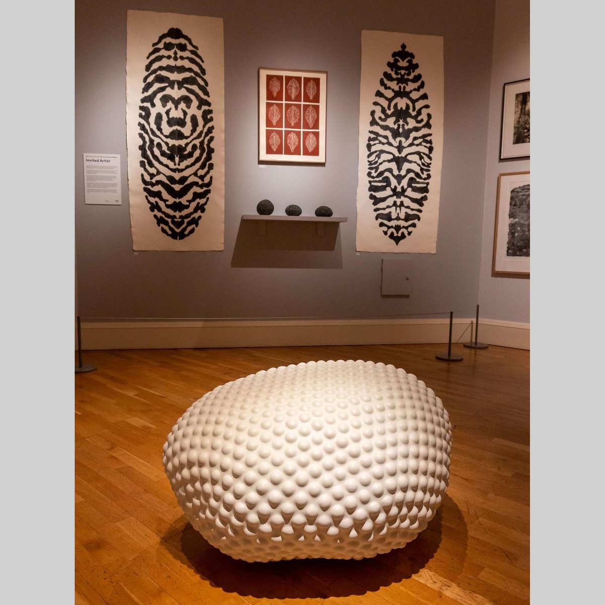 Invited artist: BSA Annual Open Exhibition at Victoria Art Gallery, Bath, BA2 4AT, UK - to 11 January 2025
victoriagal.org.uk/event/bath-soc…
peterrandall-page.com
#peterrandallpage #bathsocietyofartists #victoriaartgallerybath