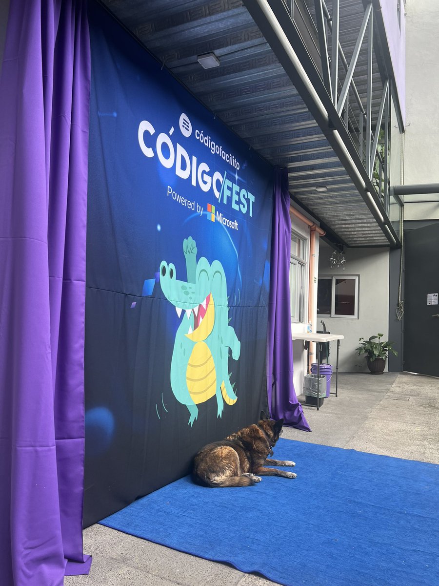 dibujeando's tweet image. #CÓDIGOFEST 2024 🐊

Gracias gracias gracias 💚💚💚