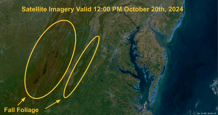 Latest satellite imagery shows no clouds, which makes the fall foliage across the higher terrain of the Blue Ridge and Allegheny Mountains visible.