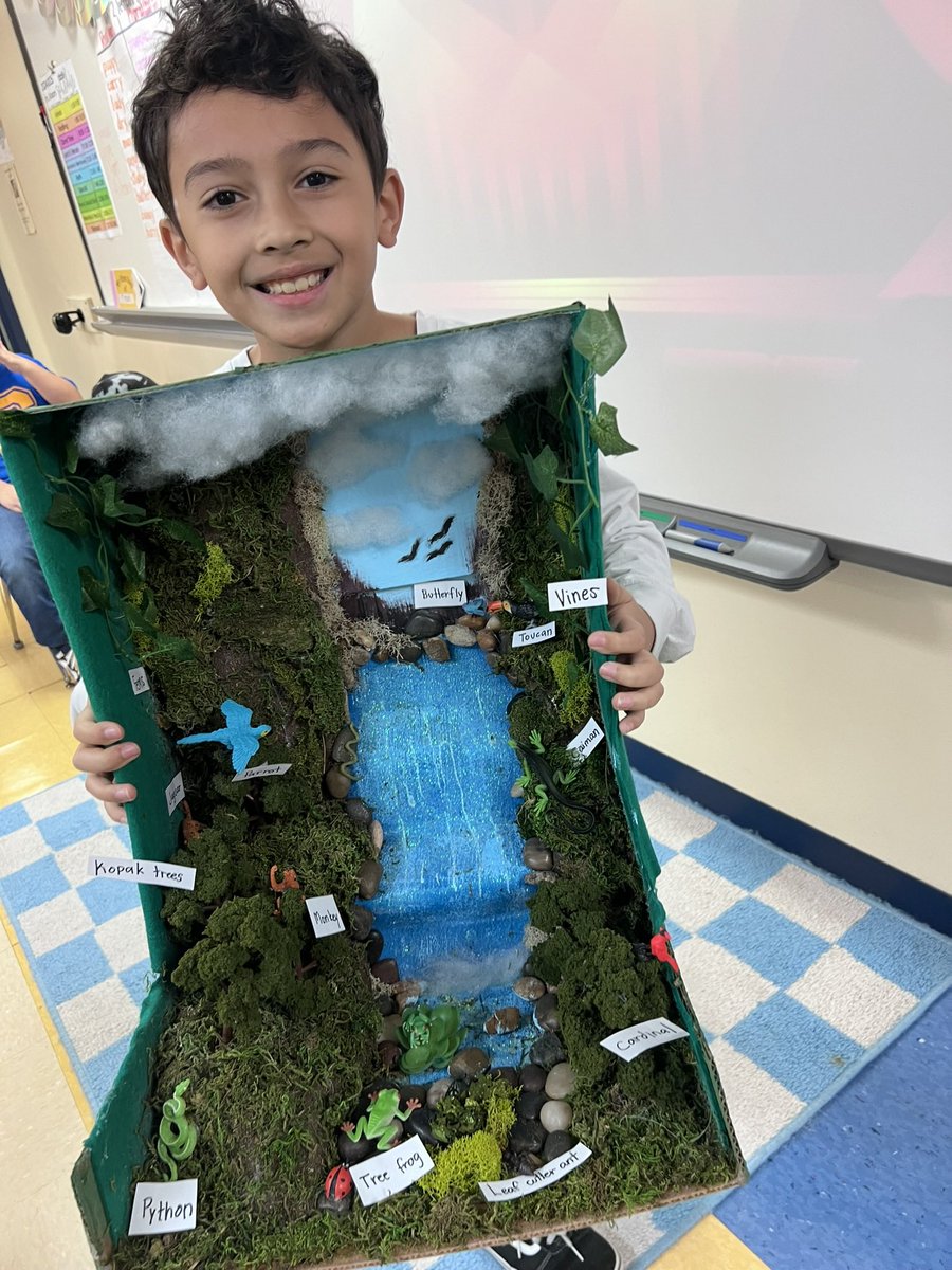 MrsGibson112's tweet photo. Look at these STUNNING animal habitat dioramas my students made to celebrate ending our animal classification unit! https://t.co/By3gyU113q