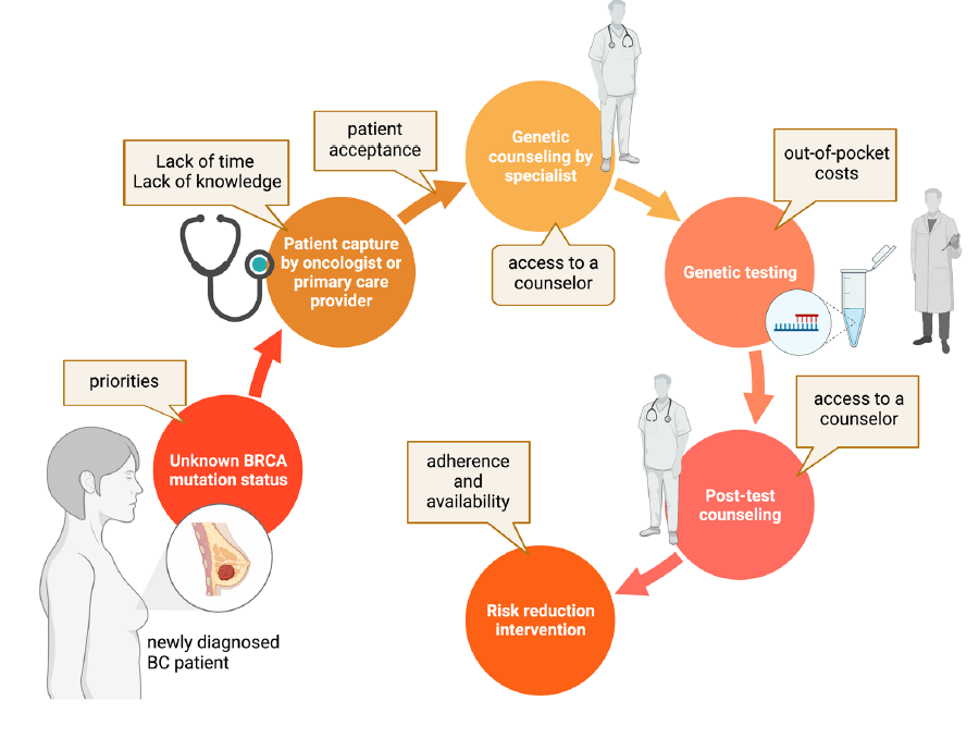 fnacevedo's tweet photo. En el mes de #CáncerDeMama, comparto nuestro estudio sobre la baja utilización del test genético (15% indicados) y la desigualdad de acceso: privado duplica cifras. El problema es multidimensional y de dificil solucion. A priorizar este debate! @benjiwal @FacMedicinaUC https://t.co/mLZHNNSQoO