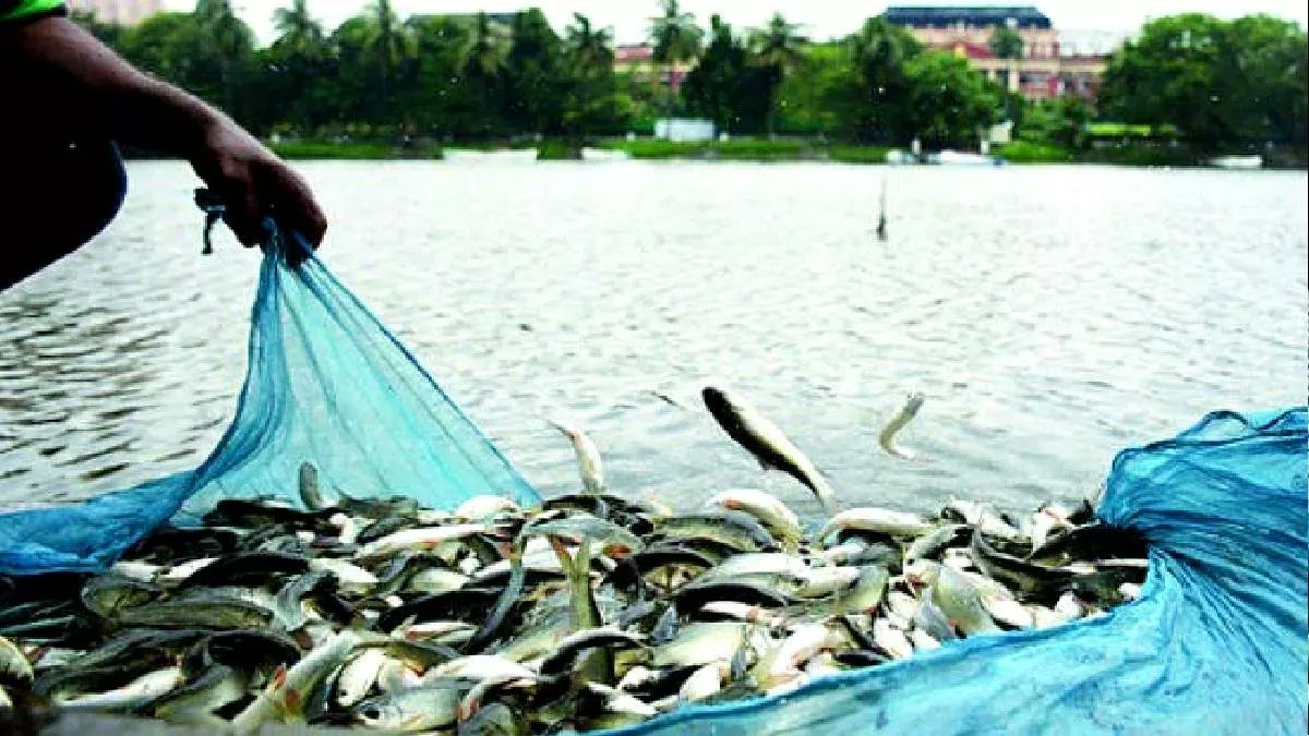 IndexBihar's tweet image. Bihar became self-sufficient in fish production, journey from net importer to net exporter.
Fish production in 2005 was 2.88 lakh tonnes and now it has increased to 8.73 lakh tonnes.