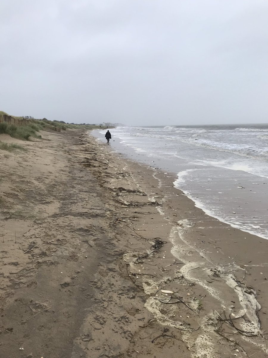 Instability_Env's tweet photo. #beachcomb #08 today at Greatstone. 
Mostly seaweed, shells, sand &amp; rain. #phd #research https://t.co/w9usklj8o7