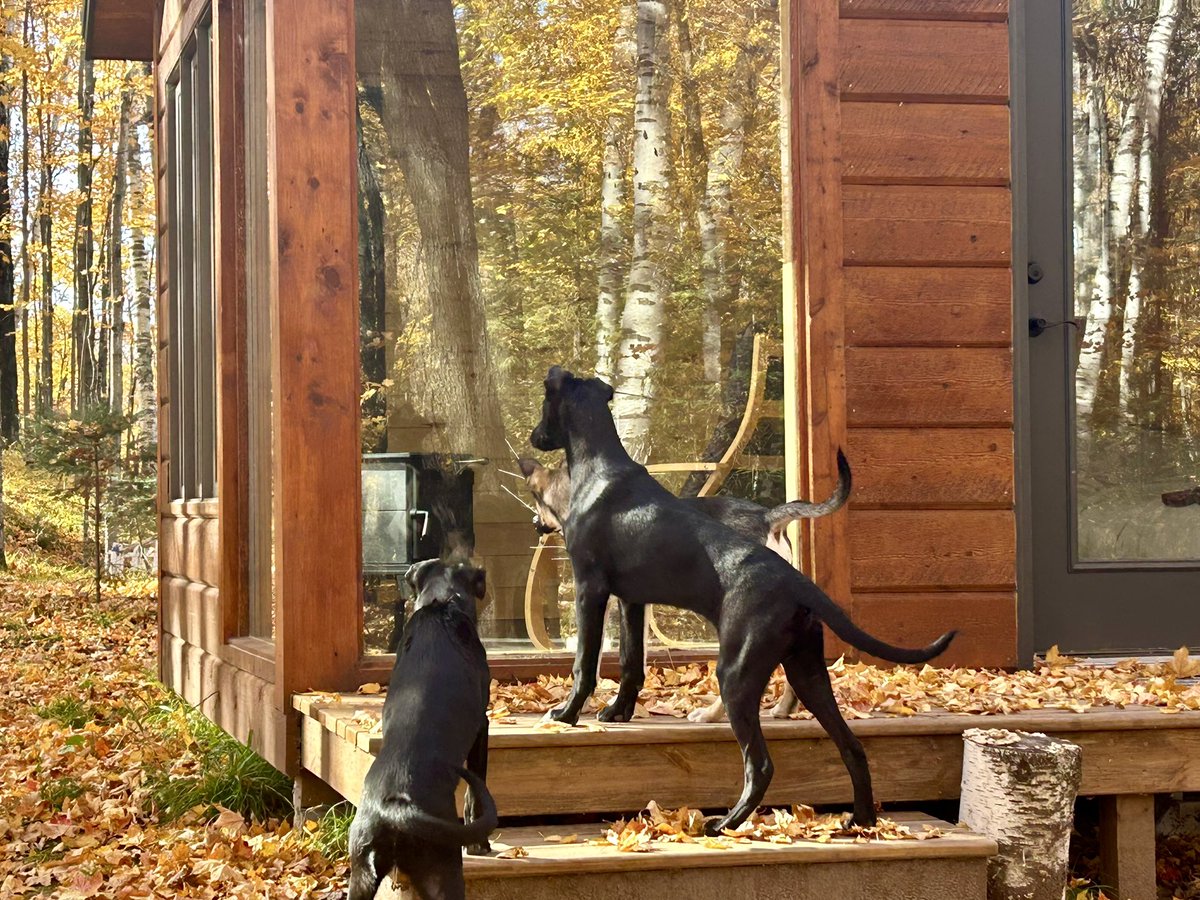 don’t be scared, you guys are beautiful