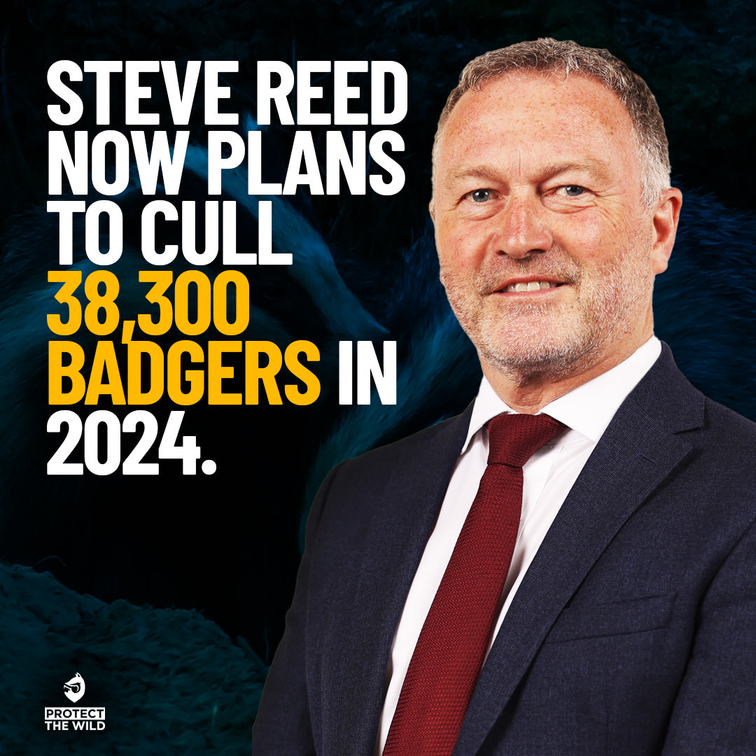 ds_stanley_'s tweet image. @SteveReedMP @UKLabour @Keir_Starmer so much for ending this. #LabourLies #cnuts