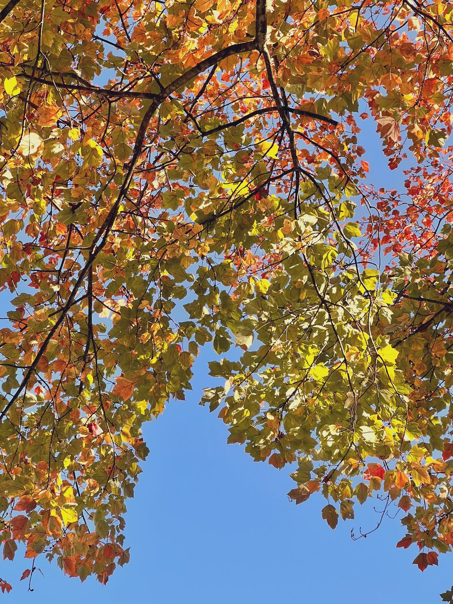 Hope everyone is enjoying this nice day!