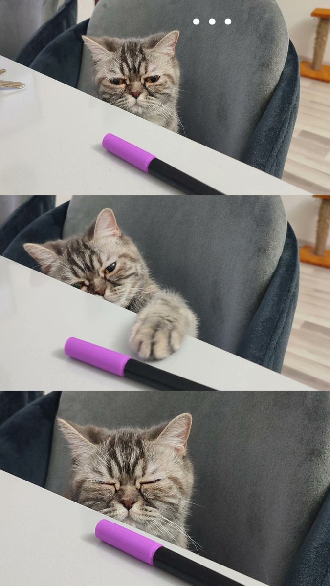 Mrvabl's tweet photo. Yakalanınca uyuma numarası yapmayan da ne bileyim 🤭🤦🏻‍♀️🤍 https://t.co/3MleiEhMUC