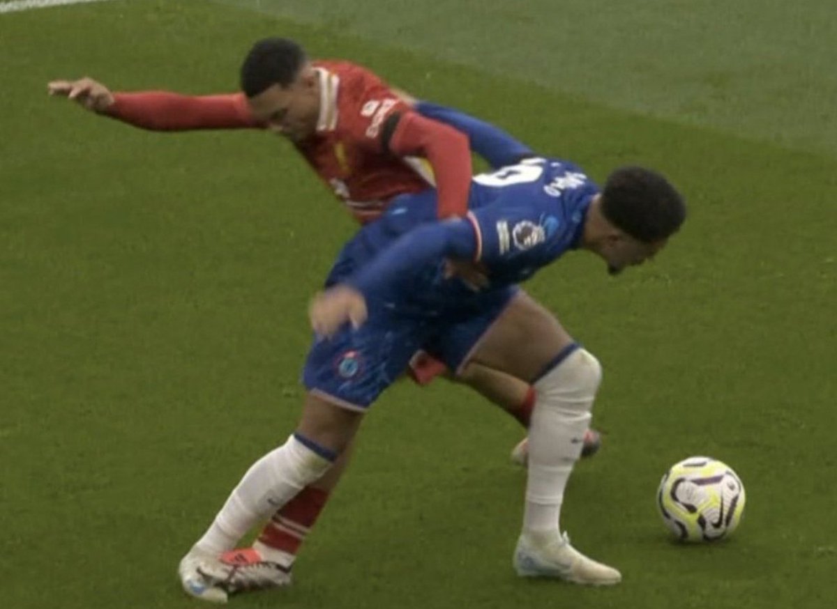 The Coolest Chels tweet media