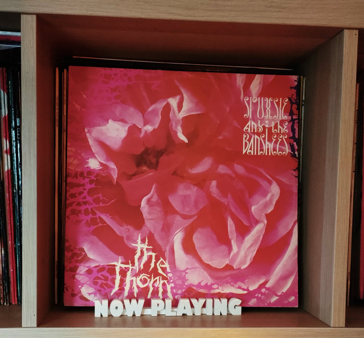 michelle jacques tweet media