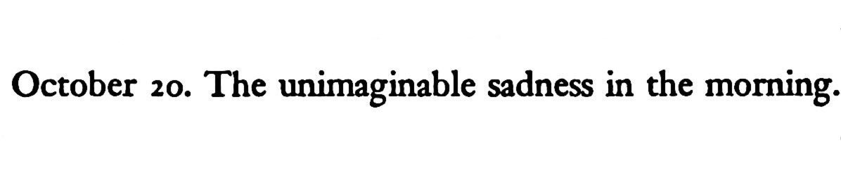 Neil Renic tweet media