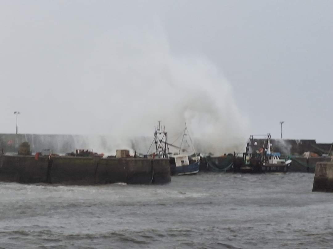 A pic from a year ago today.