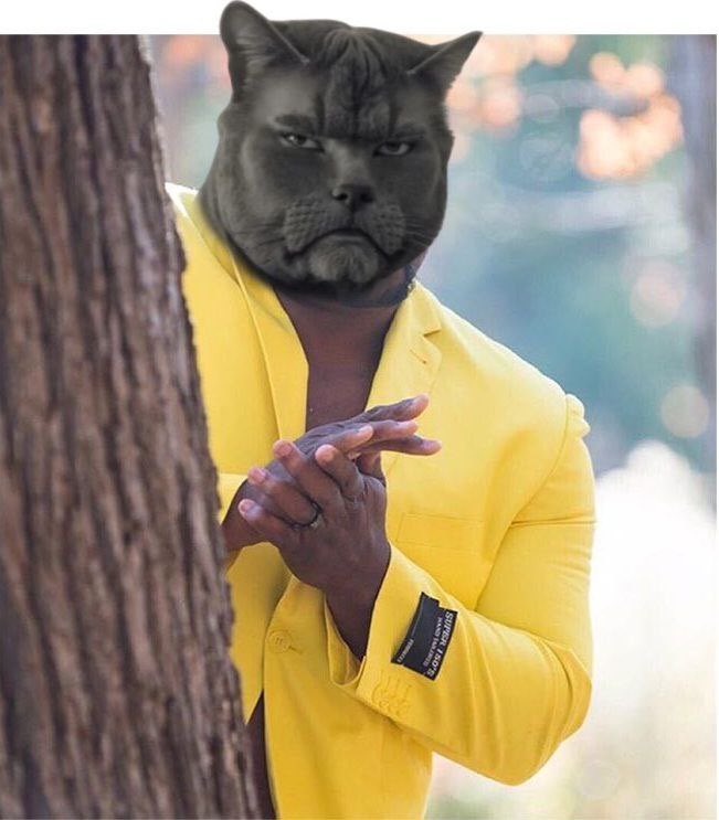 jaydlyf's tweet image. Never fade an $ALPHA CAT this just hit  raydium
Everything looks bullish 

dexscreener.com/solana/41hh2p1…

@Wiftardio_Sol @MadDogOnSolana @0xRamonos