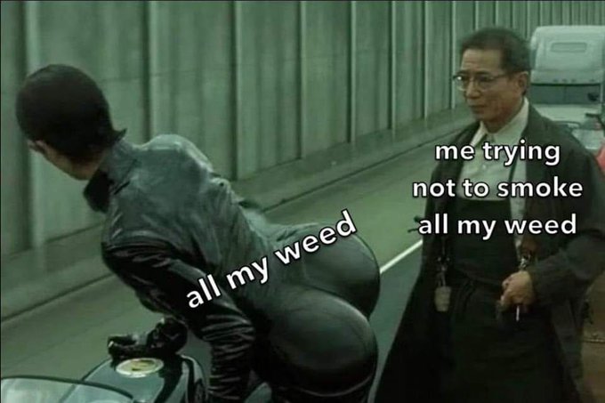 weedlings73's tweet photo. too late its gone LOL. https://t.co/YLaMca9kz4