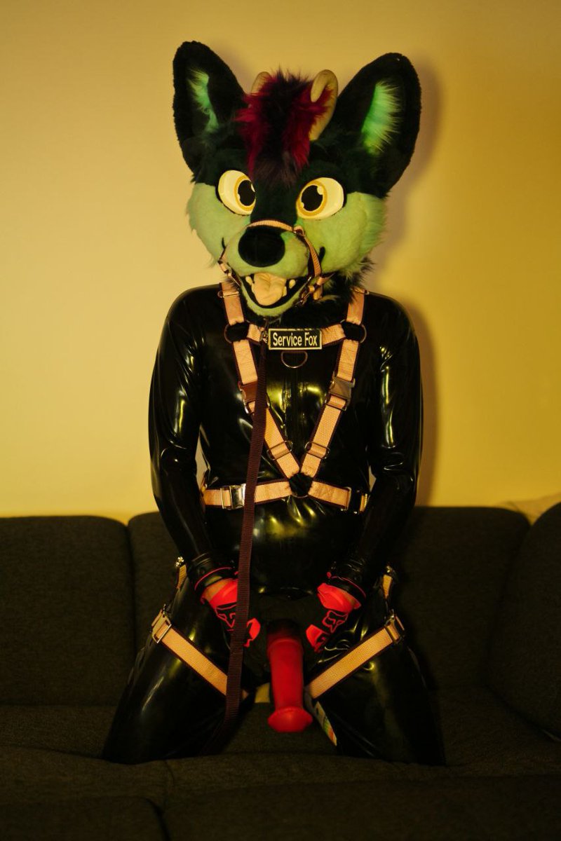 Horny_Minjo tweet media