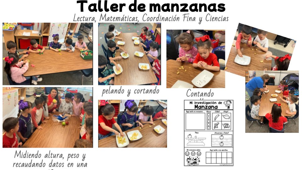 RoxanneSupportDAG tweet media