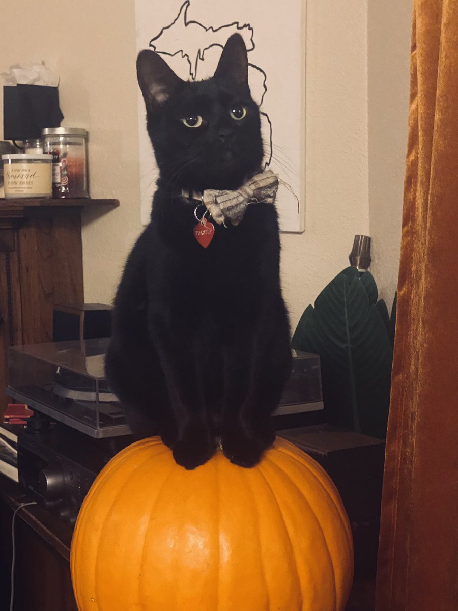 c. m. fields 🍉 tweet media