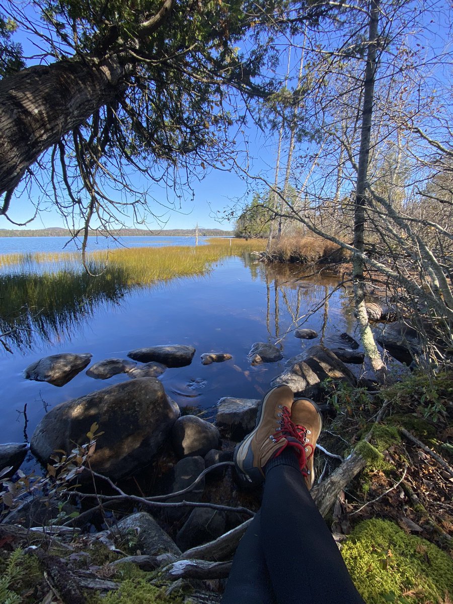 FrogMoonMama's tweet photo. Itβs a gorgeous Sunday deep in the #Adirondacks at #RaquetteLake.
Think of this as your weekend reminder to make time for yourself! https://t.co/cfXxaKA5sJ