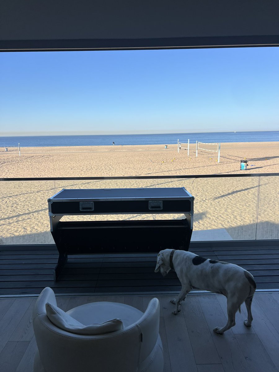 AILA_Community's tweet image. Get ready to grow some Wiiings today (Sunday) for our Cerebral Beach Hacks After Party 4pm+

#TechweekLA