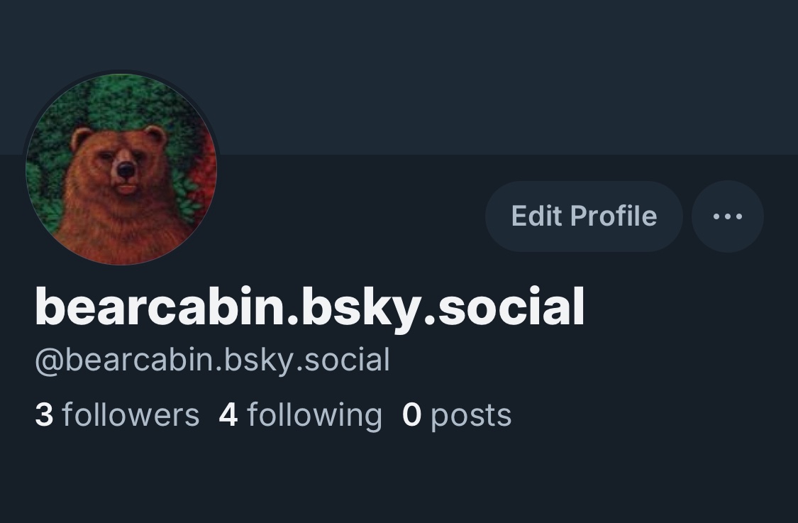 BEAR_CABIN's tweet photo. im undecided which ill use but these are my other socials https://t.co/M4WA3Bjy0s