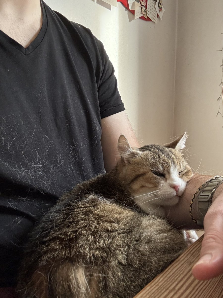 Tristan Lohde tweet media