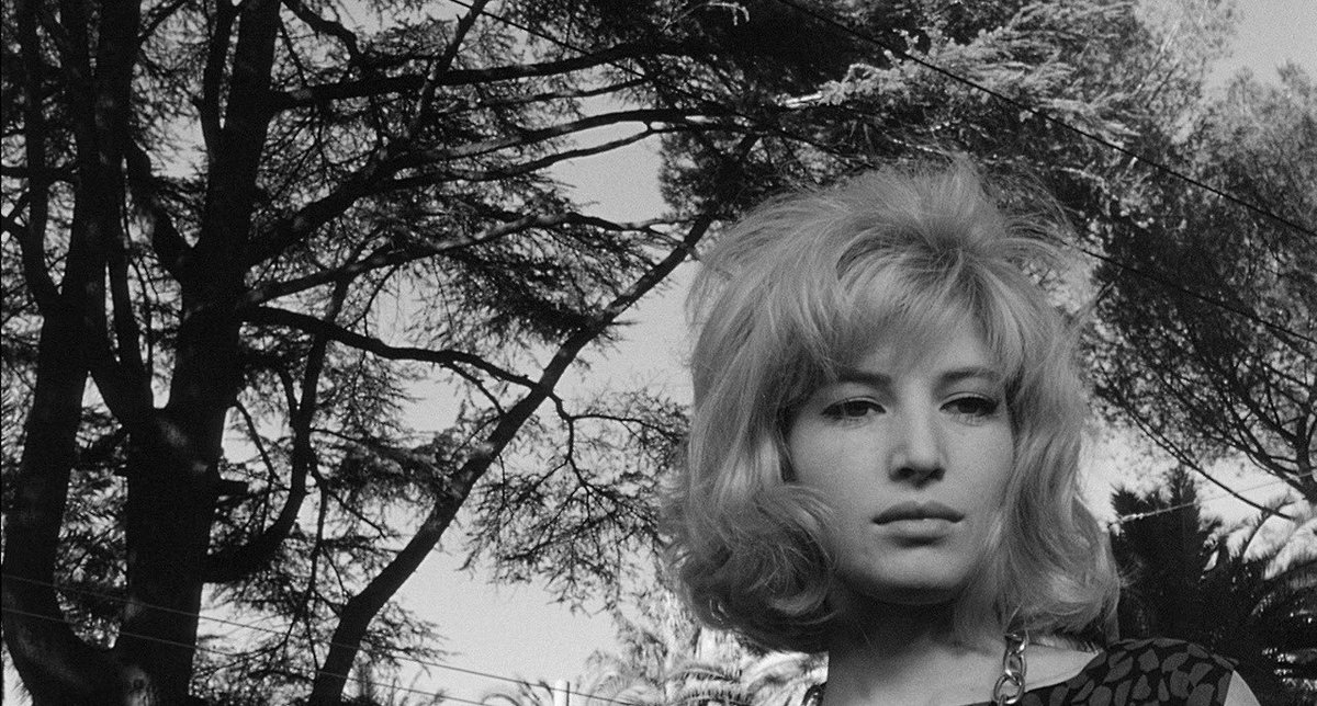 elrau007's tweet photo. 📽 1663 | El eclipse (1962) 
-
🎬 Michelangelo Antonioni   
-
#ElCineQueHeVisto✔️
#ElEclipse #MichelangeloAntonioni https://t.co/CqZ7Oebd46