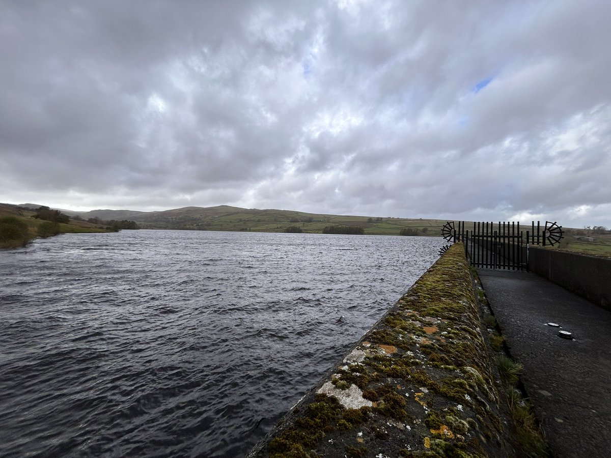 Tara Vallente tweet media