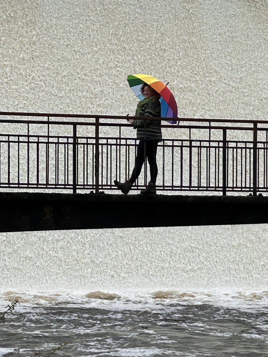 Tara Vallente tweet media