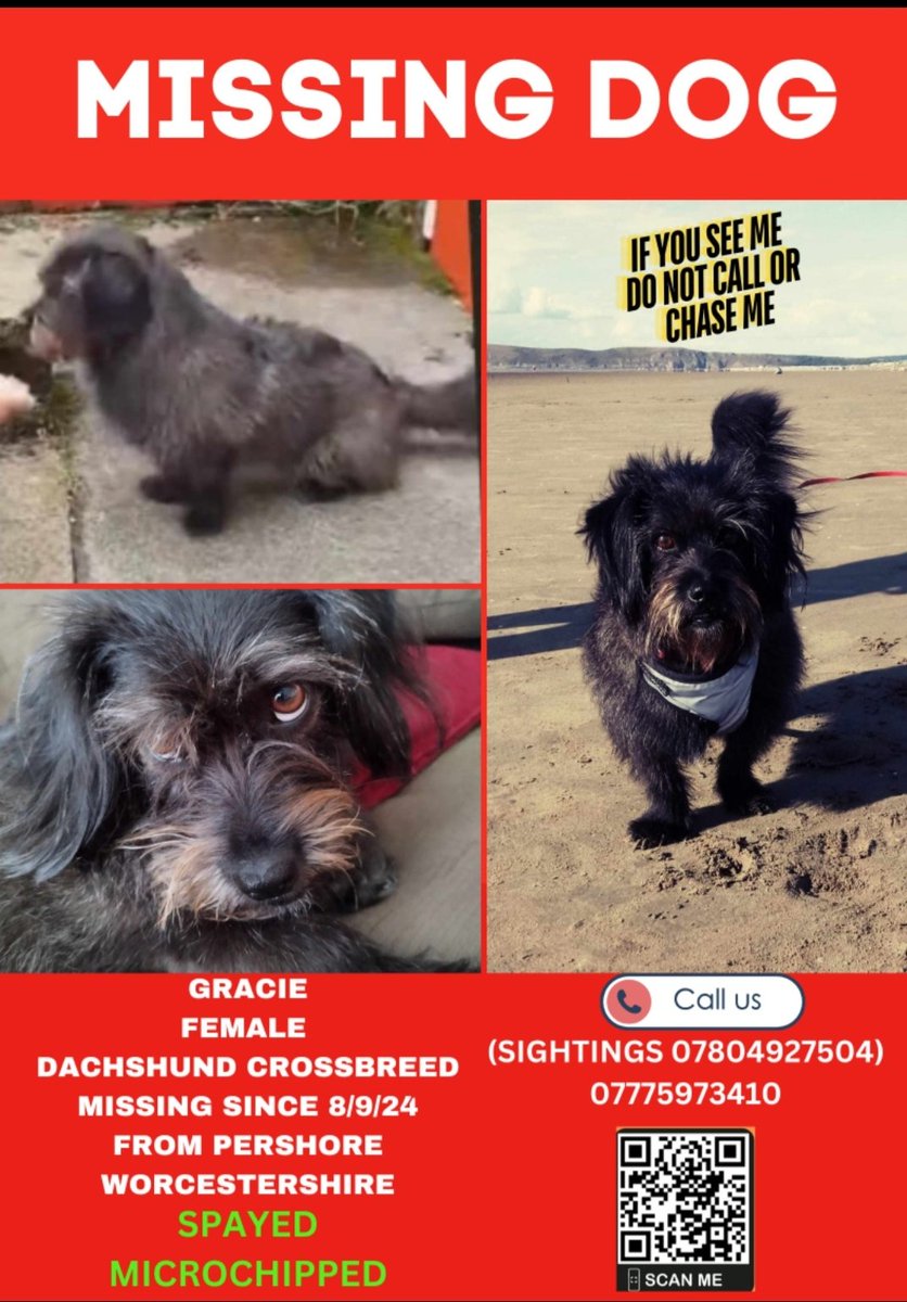 GRACIE IS STILL #MISSING!!

Where is this beautiful girl? Her family are desperately searching for her. Please - sightings only -- please #Pershore #WR10

Keep a look out for this dearly loved girl 

<a href="/michael51024571/">michael</a>

#stolendoghour