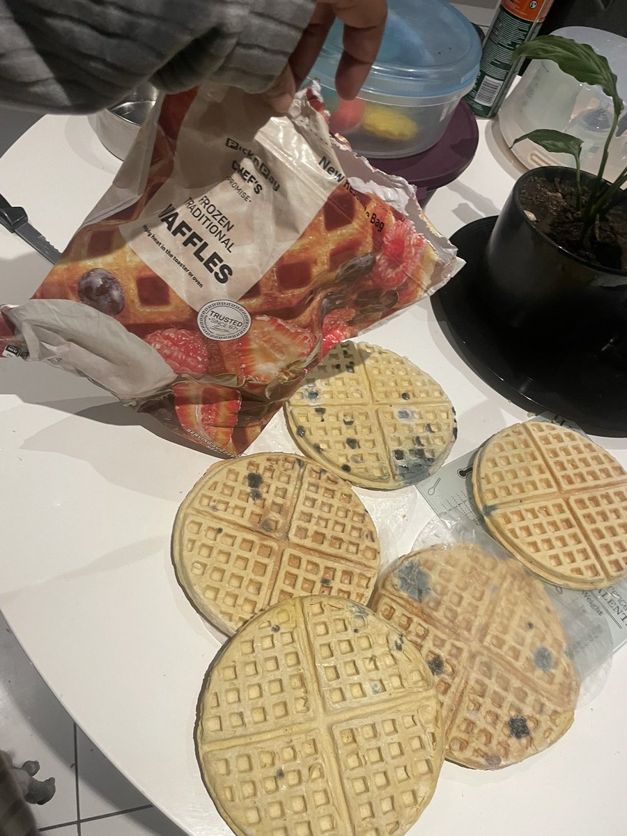 cutechubbyntomb's tweet photo. @PicknPay 
So bought waffles on Tuesday and Sunday I open them to find the most REVOLTING FUNGAL THING EVER!! 
A whole seal bag with best before date 08/02/2025 Funky SO DISGUSTING I FEEL SICK
#amici24 
#sunday https://t.co/59qmUd4PJY