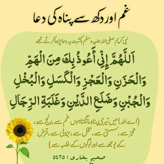 ranaabdula51513's tweet image. 