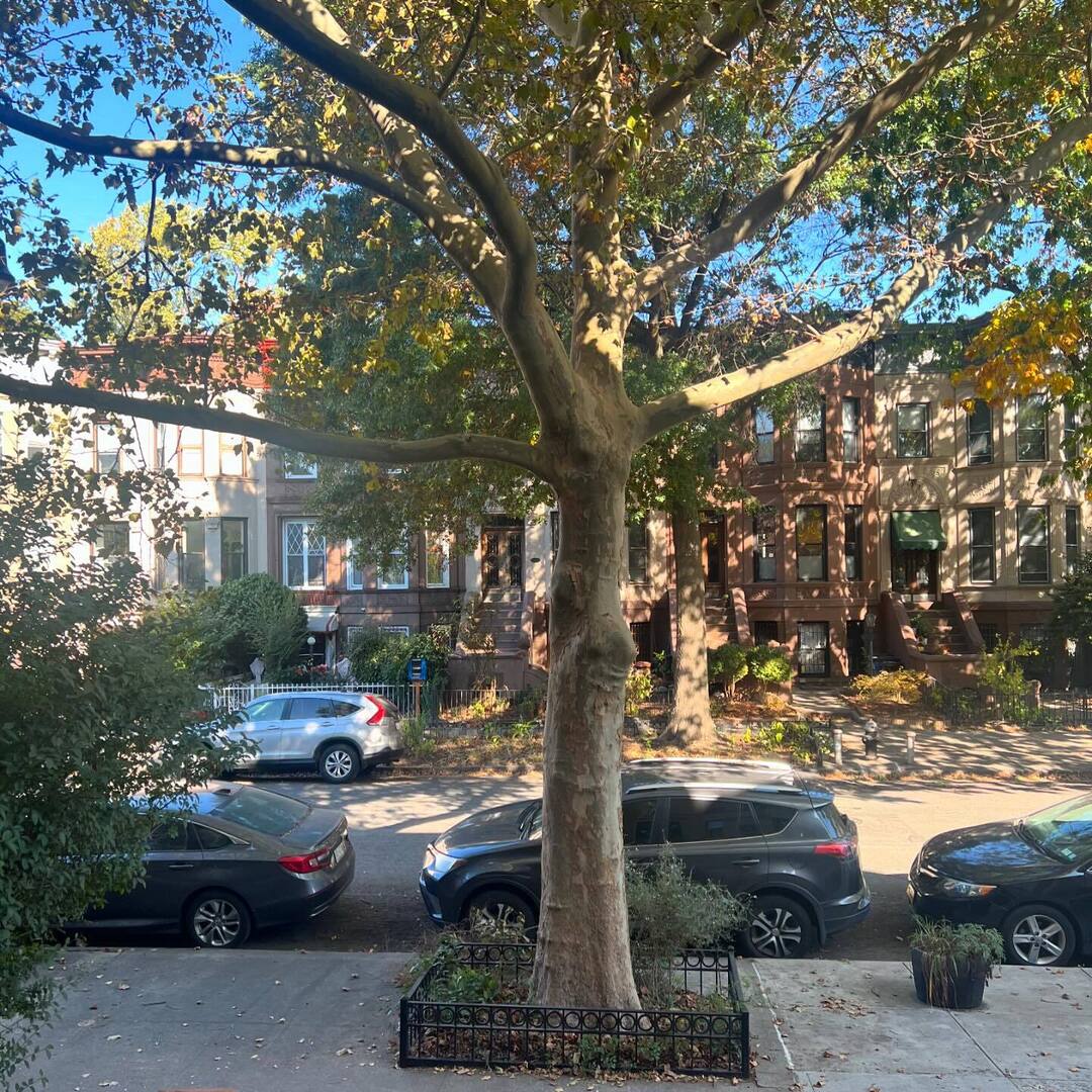 JuliaKorell's tweet photo. Fall stoopin’ 🍁🍂🍃

#fall #stoop #brownstone #brooklyn #newyork https://t.co/CEbglm1Tne https://t.co/XZyeWJ3Xc0