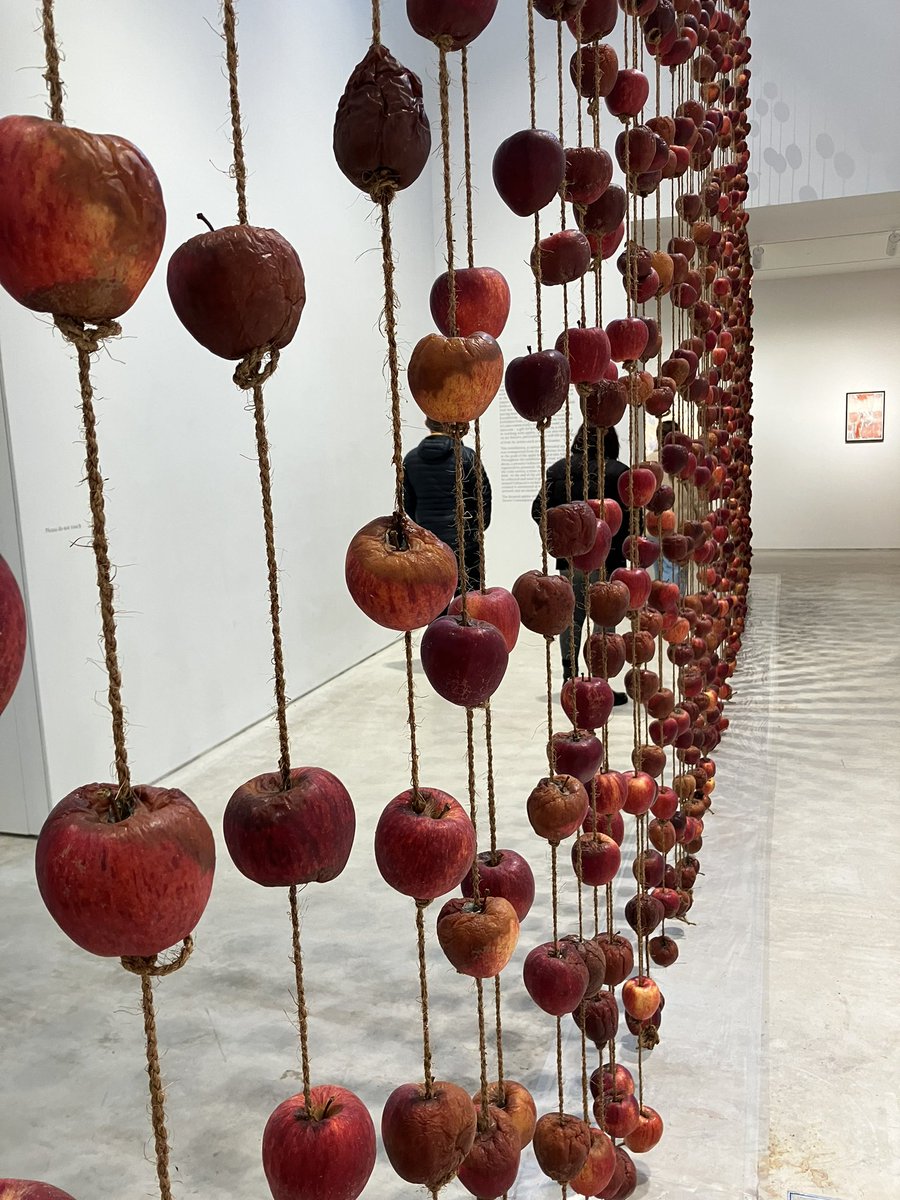 SpectralHeron's tweet photo. Anya Gallaccio @TCMargate 🍎 #preserve #fallingfromgrace #margate https://t.co/s60flPKFv9