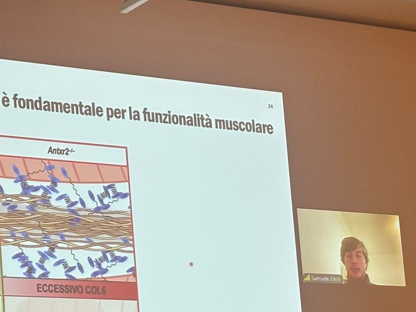 Being invited to present my new projects at the
<a href="/Col6italiaONLUS/">Col6italiaONLUS</a> patient association meeting was an incredibly inspiring experience. It’s always amazing to share Science with those who matter most!! #CollagenVI <a href="/swiss_muscle/">Swiss Foundation for Research on Muscle Diseases</a> <a href="/MSCActions/">Marie Skłodowska-Curie Actions</a>