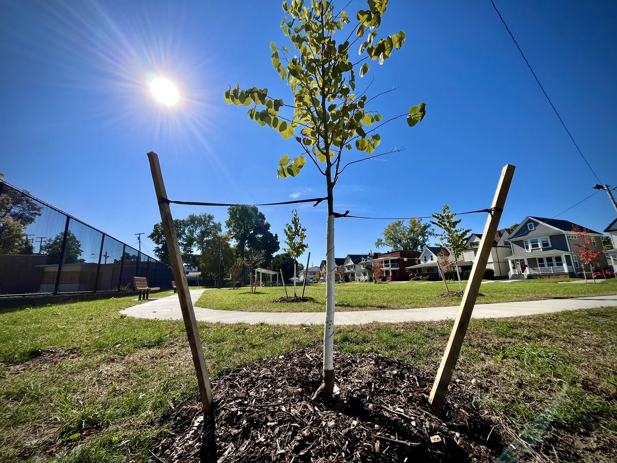 Phil Kidd tweet media