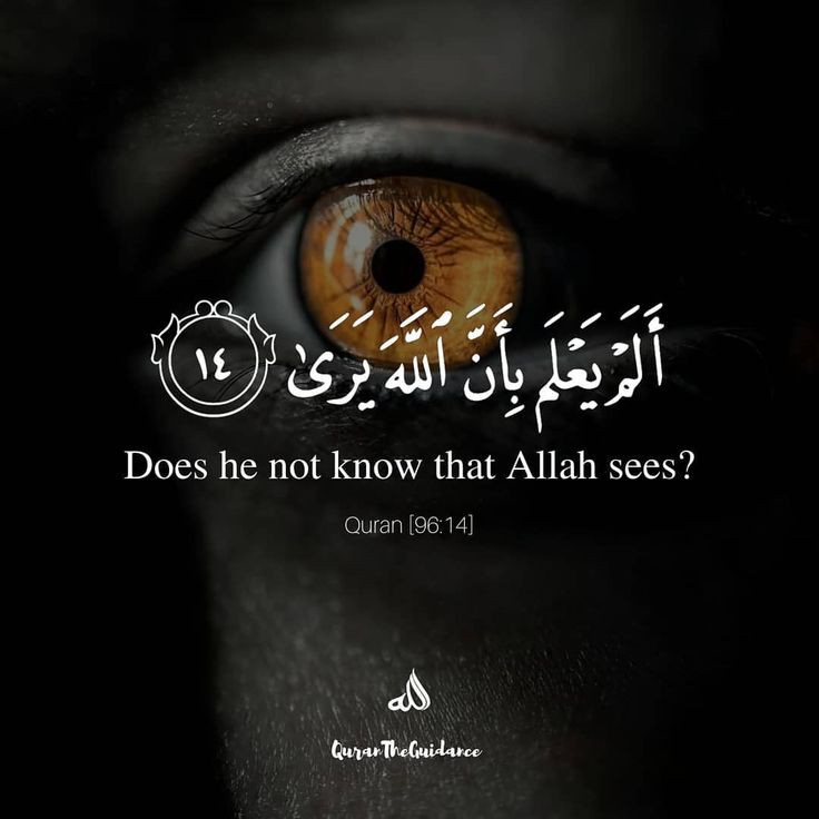 Al_Quran_011's tweet photo. reposts, it will help you🤍🕊️ https://t.co/smqY7LsSzr