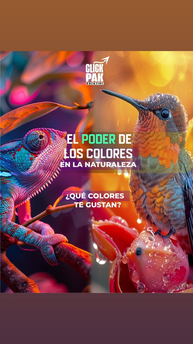 Clickpcreative's tweet photo. Los colores le dan alegría a nuestra vida 🎨  como community manager, creadores de contenido y diseñadores gráficos  🌈 el color es prioridad. 

📲 ¡Somos Click Pak Creative! 
🎨 Imaginación en un Click

#20Octubre #digitalart #FelizDomingo https://t.co/RK3BvvReSC