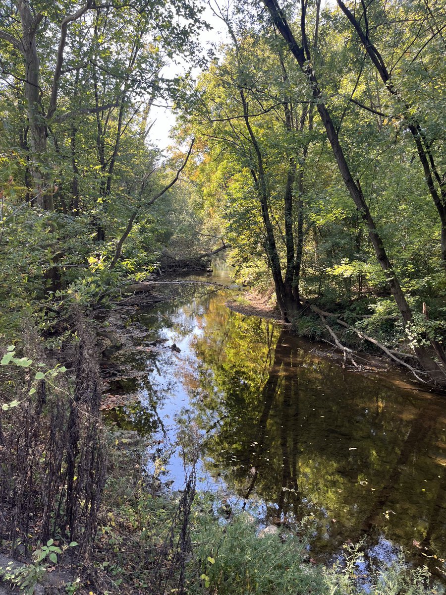 jfgrounds22's tweet photo. Nice day for running but the struggle was real!!! Long runs and hills!! https://t.co/UpHceeeG8y