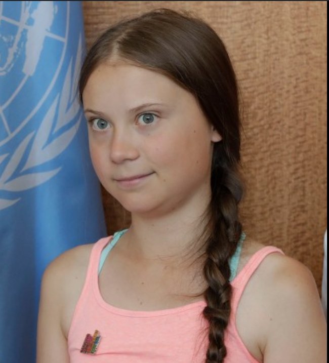 MrSpiritsRaven's tweet photo. #Greta Tintin Eleonora Ernman #Thunberg Age 16, Is Head Shoulders Waist & Feet above all these 🐂💩 #PoliticalHacks.
Calling Out A #Teenager & #Attacking Her For Your bull 🐂💩 shit POLITICAL AGENDAS IS PATHETIC. https://t.co/li2lmGCYLP