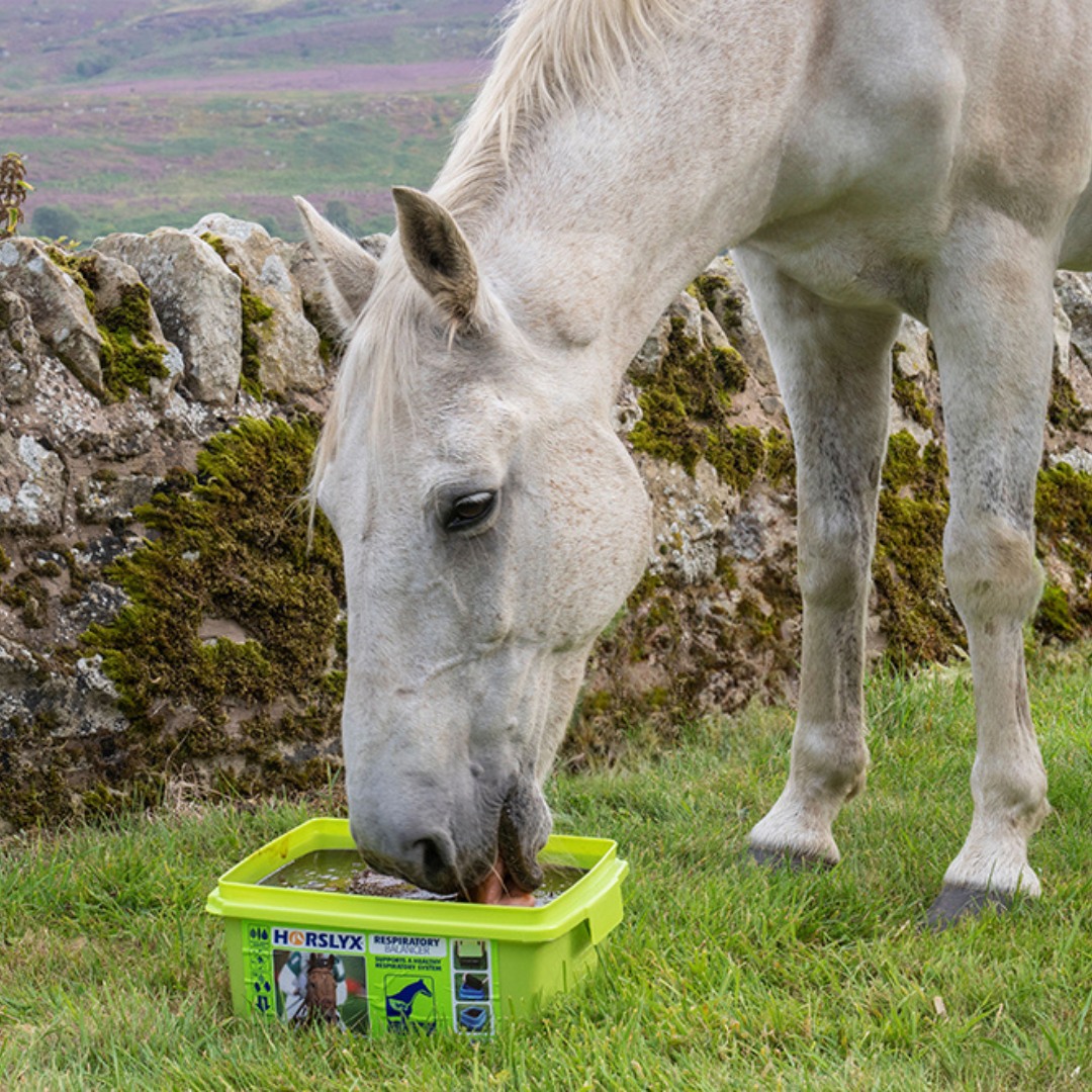 🐴💨 Support Your Horse’s Respiratory Health with Horslyx Respiratory Balancer! 💨🐴

Menthol, eucalyptus, and aniseed help keep airways clear, while the high-specification balancer package boosts immunity, ensuring your equine friends stay healthy year-round.