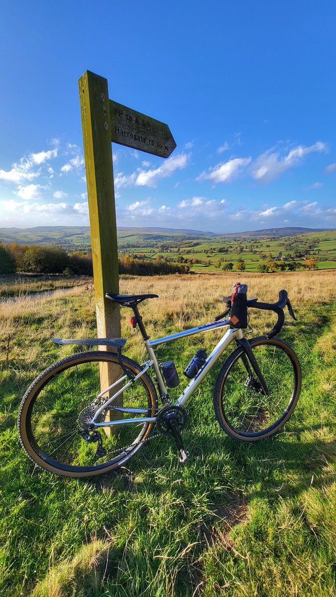 Zoë Westerman 🏴󠁧󠁢󠁷󠁬󠁳󠁿 tweet media