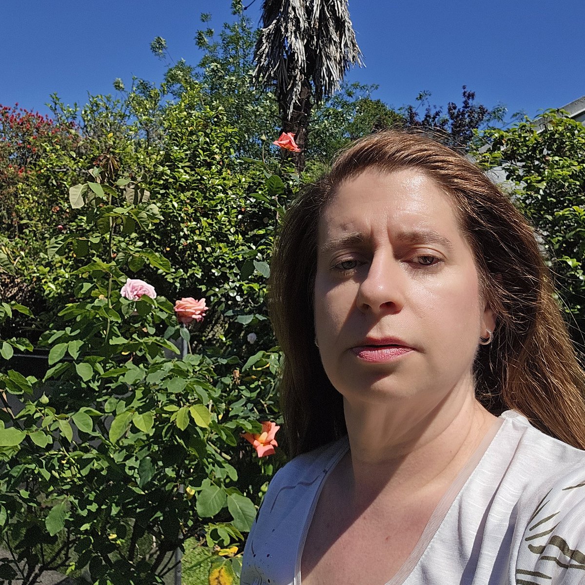 miriamcro's tweet photo. #NuevaFotoDePerfil https://t.co/MrFo8dtOKM