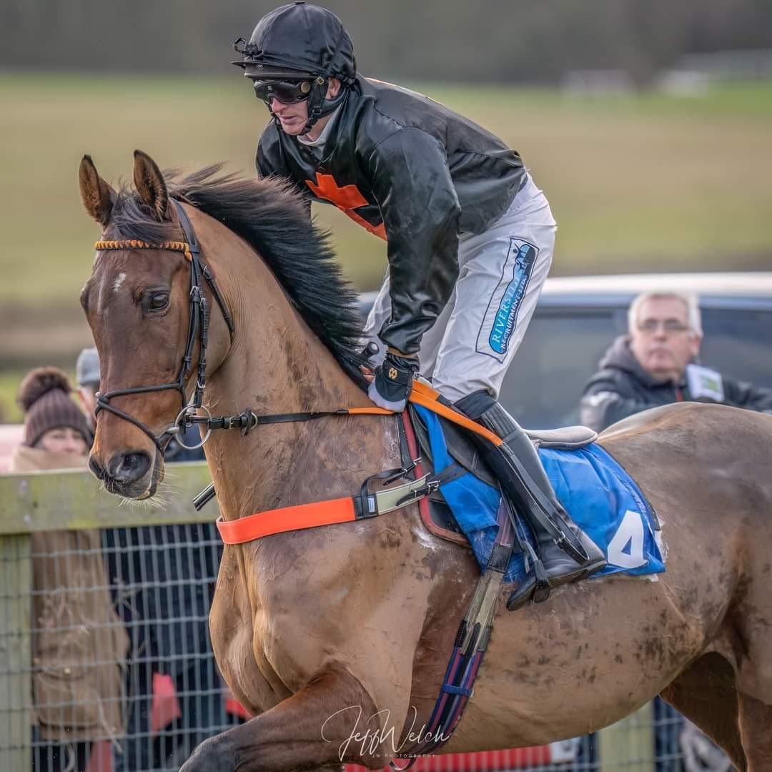 Alhampton Inn tweet media