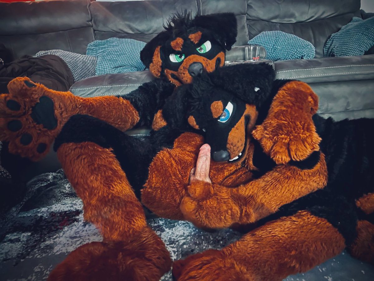 No words, just grrs 🔜FWA, Furwood, K9Campout tweet media